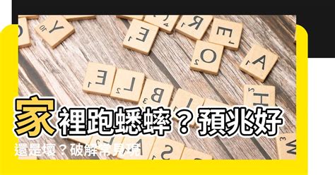 蟋蟀跑進家裡怎麼辦|【房間有蟋蟀】房間有蟋蟀？驚！可能是這5大原因造成的，教你3。